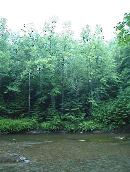 Click to see DSC00008.JPG