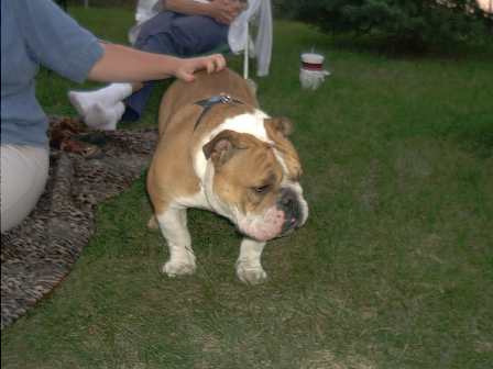 Click to see IM002060.JPG
