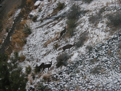 Click to see PA010002.JPG